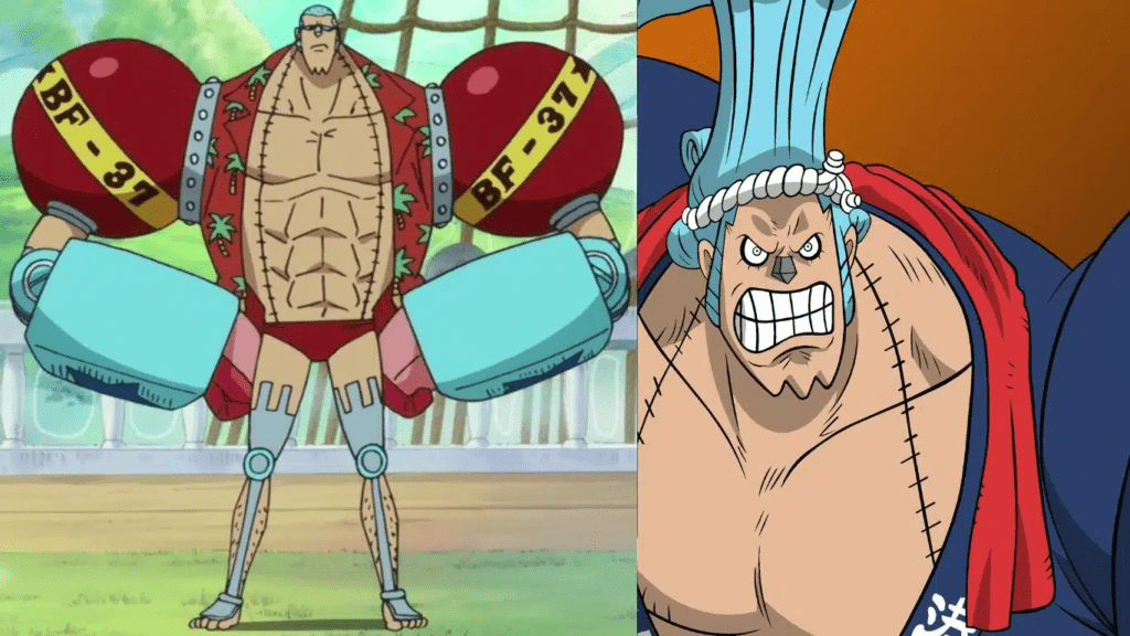 10 One Piece Characters with the Most Ridiculous Appearances - Franky